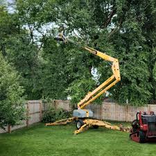  Sheridan, CA Tree Care Pros