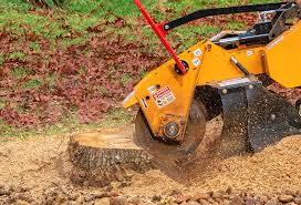 Best Aeration Services  in Sheridan, CA